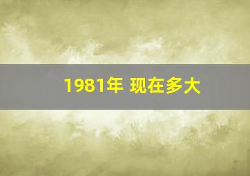 1981年 现在多大